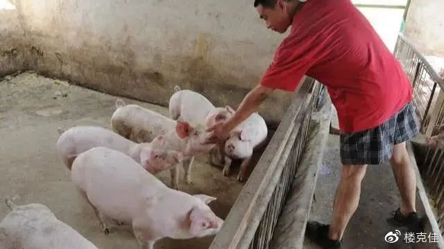 &#80;&#71;&#45;&#80;&#71;&#40;&#20013;&#22269;&#41;&#19968;&#31449;&#24335;&#26381;&#21153;&#23448;&#26041;&#32593;&#31449;